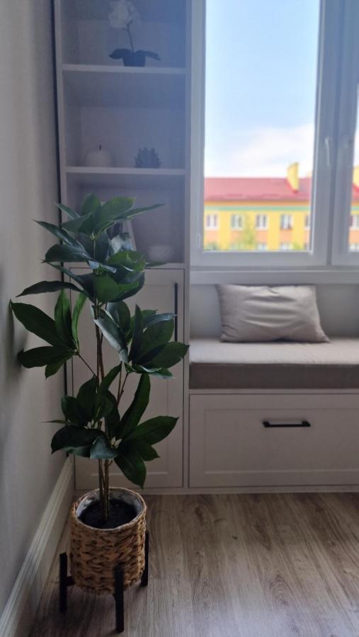 Alfama Garden Lejlighed Grudziądz Eksteriør billede