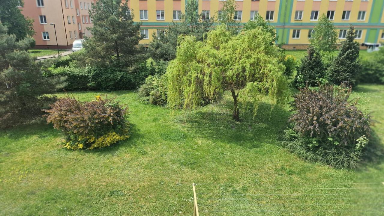 Alfama Garden Lejlighed Grudziądz Eksteriør billede